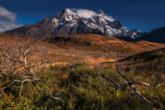 Death and life Death and life