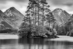 The Magic Island (b&w) The Magic Island (b&w)