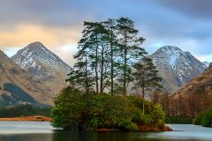 The Magic Island The Magic Island