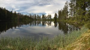 Prasily lake Gallery devoted to panorama format 1