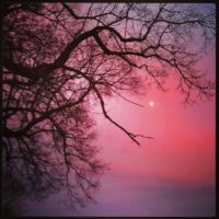 Moonland – from Instagram