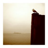 There in the distance – from Instagram