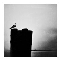 Expectancy – from Instagram