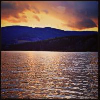 Golden water – from Instagram