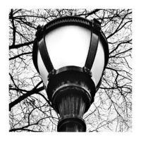 Bring the light – from Instagram