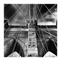 Net – from Instagram