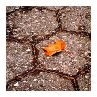 Autumn whisper – from Instagram