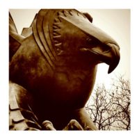 American Eagle – from Instagram