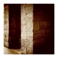 Our ancient roots – from Instagram