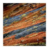 Scottish Colors – from Instagram