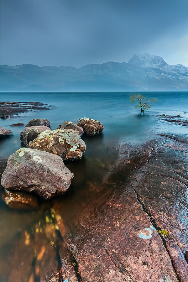 Drowned little pine 3 Drowned little pine