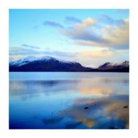 Reflection – from Instagram