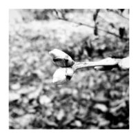 Welcoming Spring – from Instagram