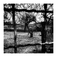 Forbidden garden – from Instagram