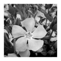 Propeller – from Instagram
