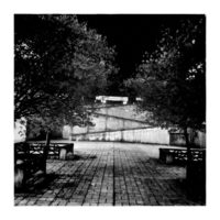 Night city park – from Instagram