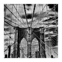 The Web – from Instagram