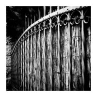 Garden fence – from Instagram