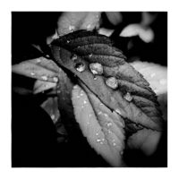 Melting hail – from Instagram