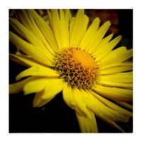 The overlooked – from Instagram