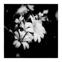 Listen – from Instagram