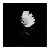 Hopefully – from Instagram