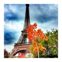 Eiffel Tower during twilight – from Instagram