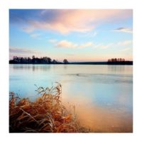 Welcoming the evenings light – from Instagram