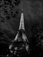 Despite the darkness