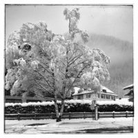 The beauty of snow – from Instagram