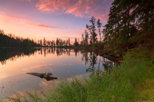 Peaceful evening at lake