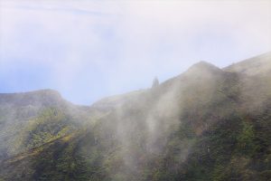 Stand up and Grow up