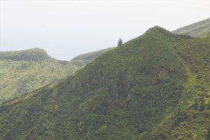 New gallery from Azores